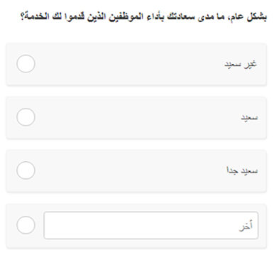 Right-to-left (RTL) Language Support